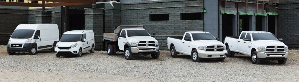 The Ram Brand lineup, all in white